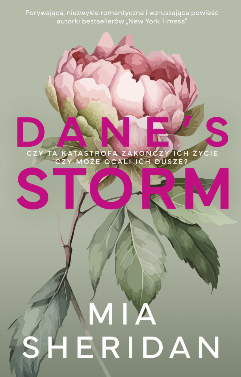 Dane's Storm