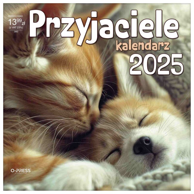 Kalendarz 2025 Przyjaciele ścienny