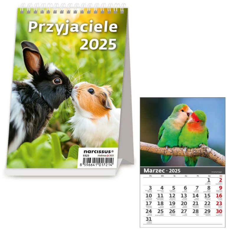 Kalendarz 2025 biurkowy pionowy miesięczny Przyjaciele