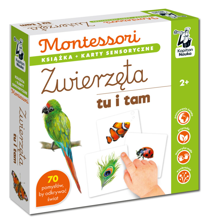 Zwierzęta tu i tam.  Kapitan Nauka. Montessori. Karty sensoryczne