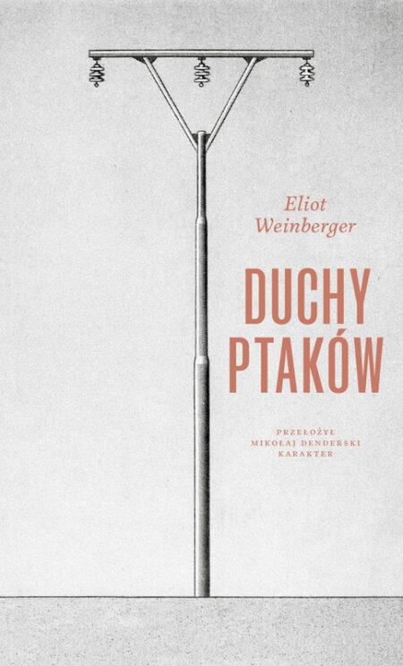 Duchy ptaków