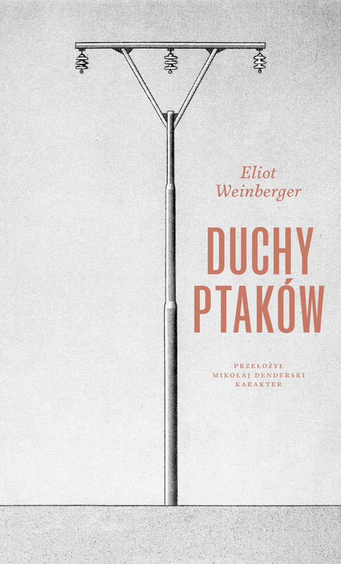 Duchy ptaków