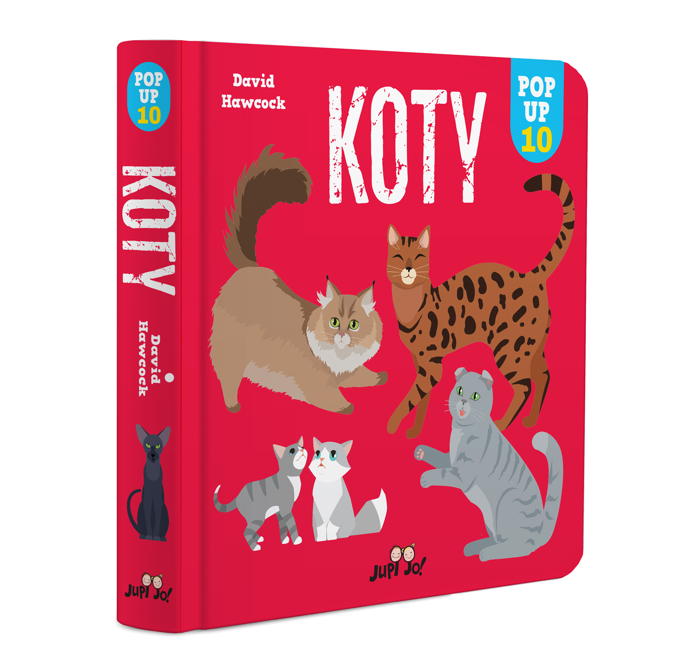 Koty. Pop-up