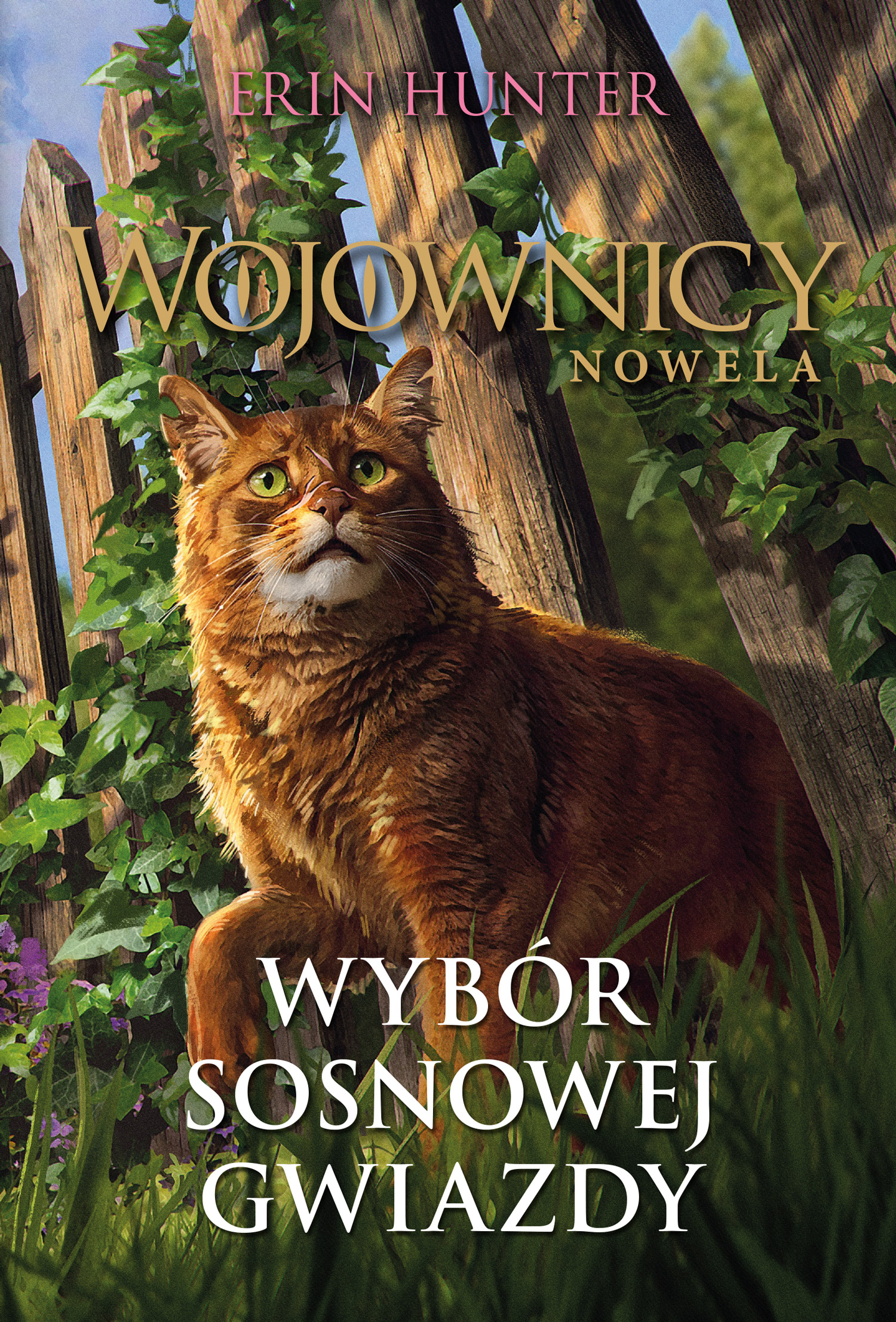 Wybór Sosnowej Gwiazdy. Wojownicy. Nowela