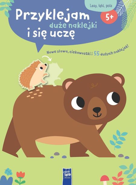 84a13e6b260d2356305245c5df4d9d94